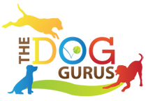 The Dog Gurus